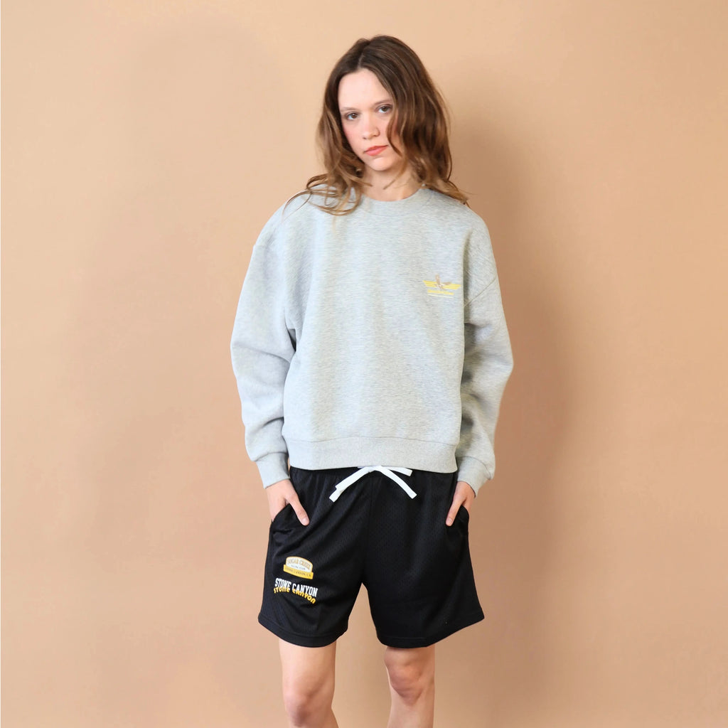 Person wearing a light gray sweatshirt and black shorts with a logo against a beige background