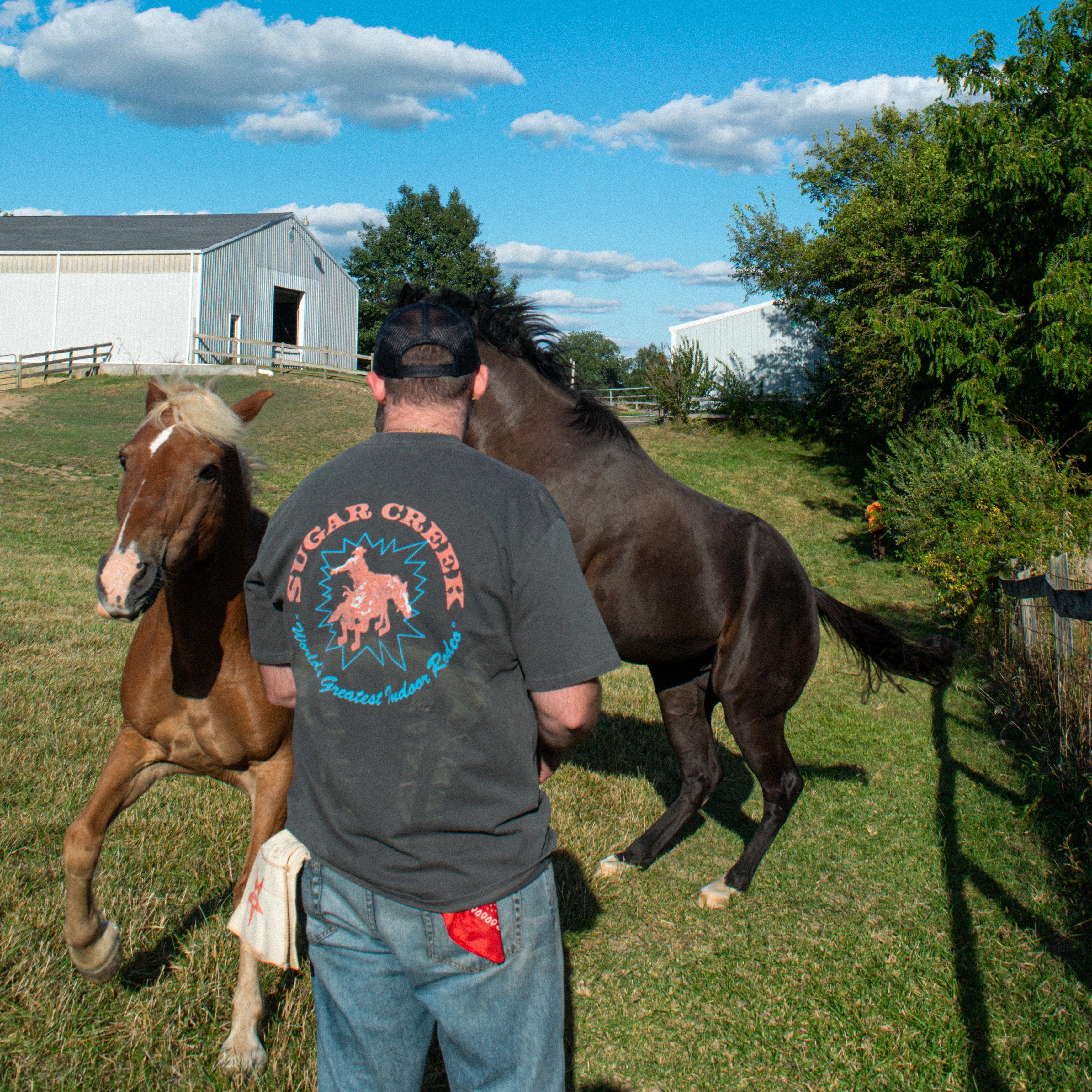 Rodeo Tee (Vintage Grey)